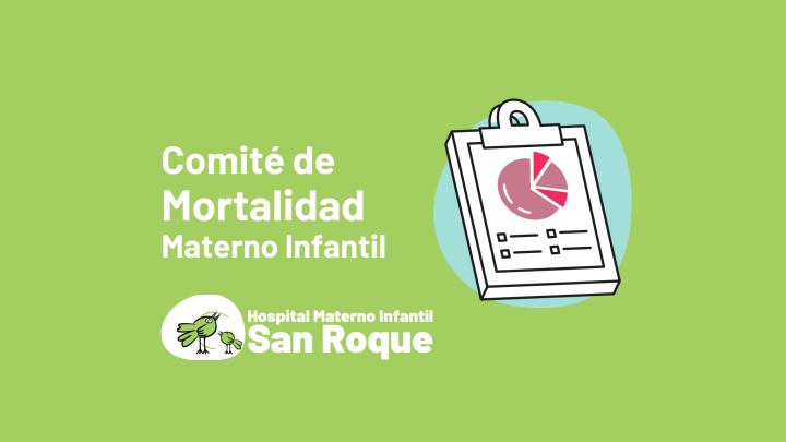 Comit&eacute; de Mortalidad Materno Infantil