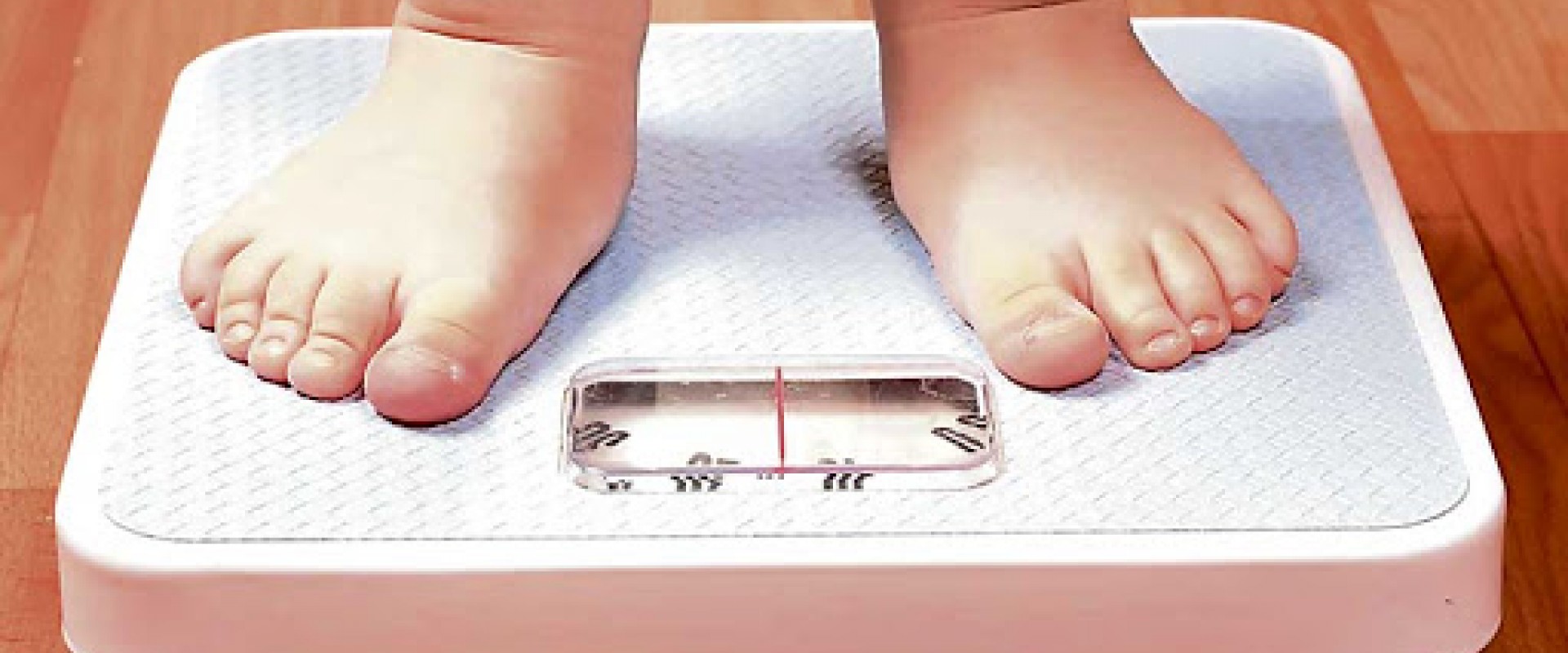 D&iacute;a Mundial De La Obesidad