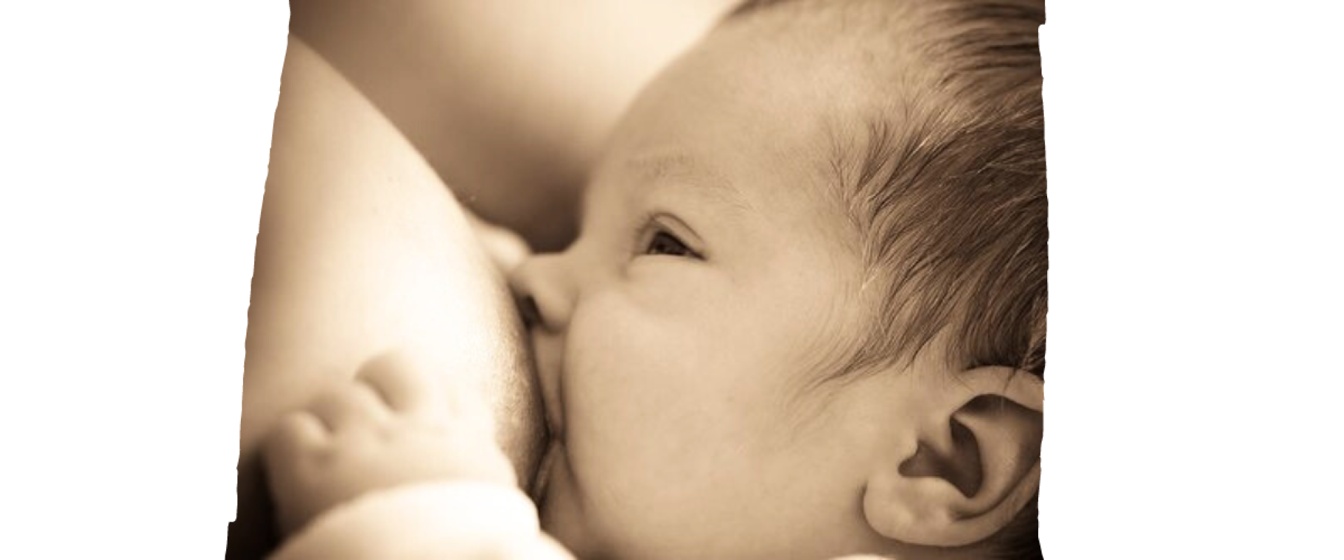 Ciclo de conversaciones por la Semana Mundial de la Lactancia Humana en el HMISR