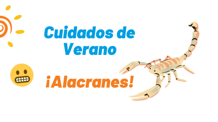 Alacranes: &iquest;qu&eacute; hacer? &iquest;c&oacute;mo cuidar a los ni&ntilde;os?