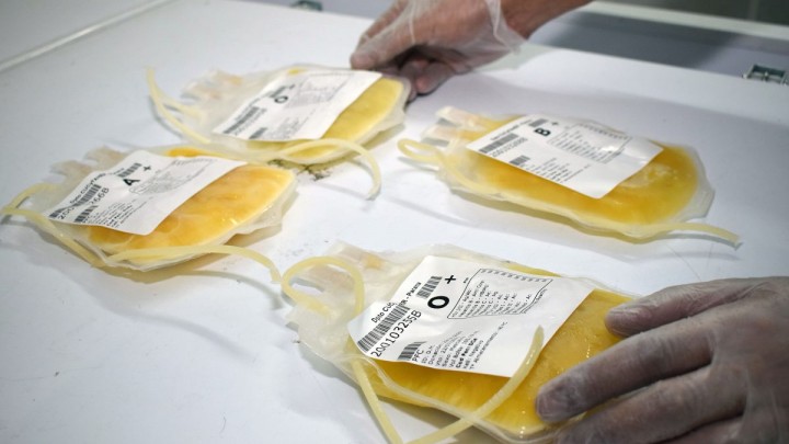 Uso de Plasma de Convalecientes Covid-19, por la Dra. Marina Alegre