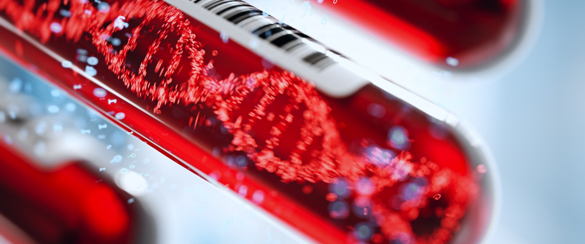 D&iacute;a Mundial de la Lucha Contra el SIDA